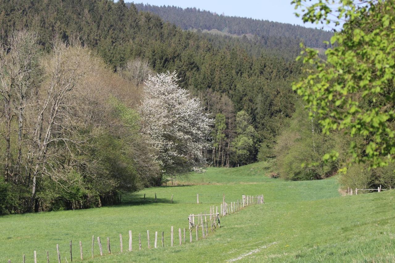 Le Clos Du Cerf - Le Sous-Bois Stoumont Eksteriør bilde