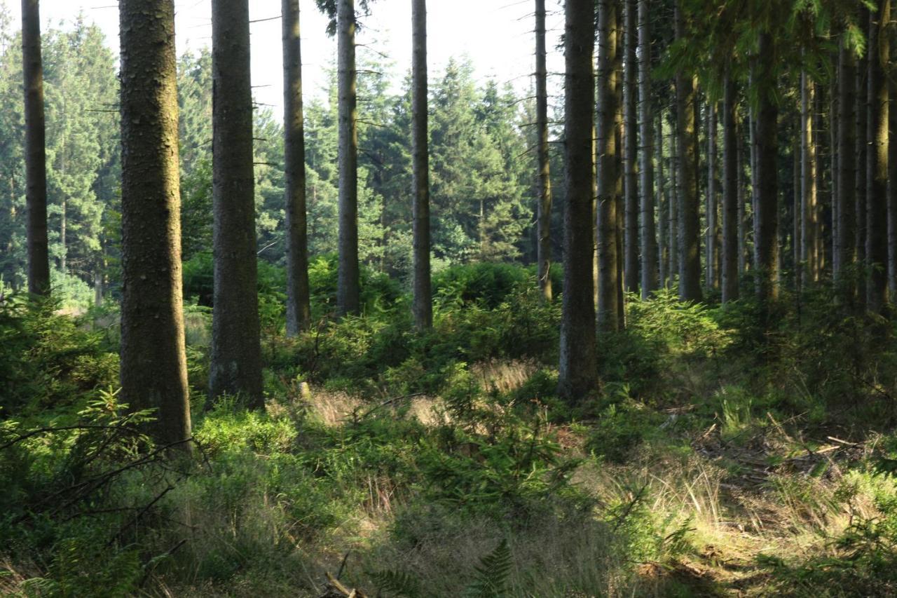 Le Clos Du Cerf - Le Sous-Bois Stoumont Eksteriør bilde