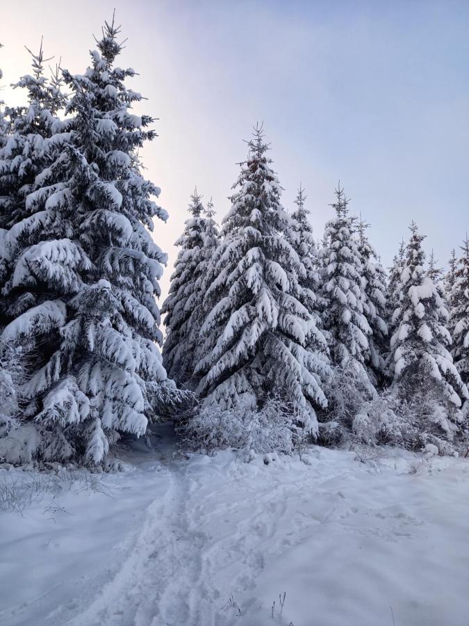 Le Clos Du Cerf - Le Sous-Bois Stoumont Eksteriør bilde